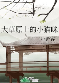 霸气村手机电影网在线