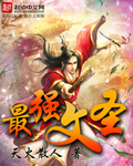 王者荣耀孤王521星