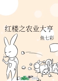 毛驴县令之大事小情