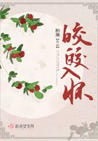 美人折腰