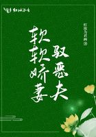 不完美受害者电视剧免费观看
