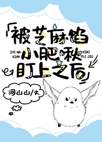 国产无矿砖码砖专区2024