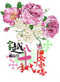 视频区图片区小说区