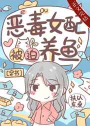 b站硬币
