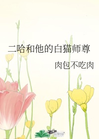 24小时免费更新视频