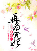 小h片网站