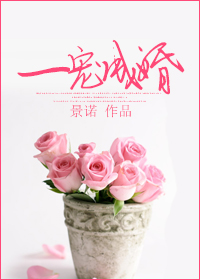 离婚以后耳东兔子小说