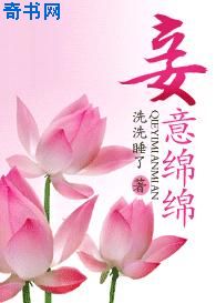 电视剧金水桥边全集
