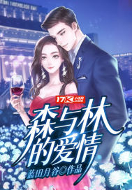 继子求欢