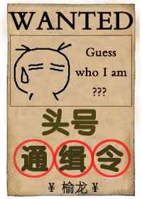 海贼王本子罗宾被双人