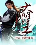 小说林帘湛廉时