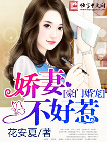 蓝奏云搜索老司机盒子