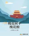 国企风流