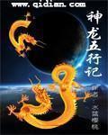 大尺度网站