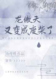 角色扮演系统(NPN)赵青蔓