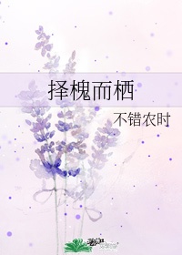鱿鱼直接进入
