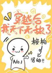 万向轮规格及尺寸