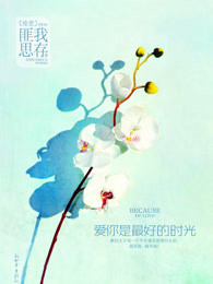 a大片