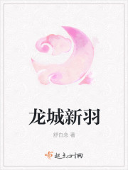 鹧鸪哨真正的无弹窗小说网