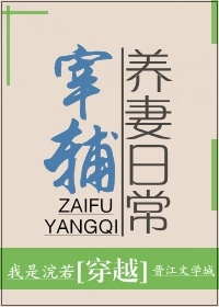 冲上云霄txt下载全集