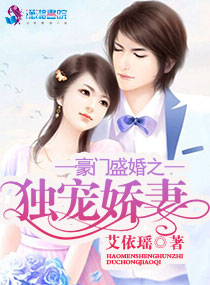 苏菲赵东来小说苏菲正版