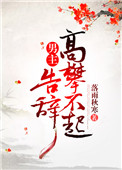 泡沫之夏免费全集在线观看电视剧