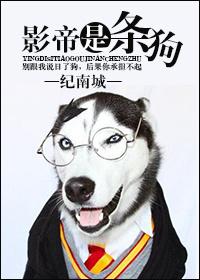 豆豆视频在线观看