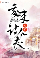 台湾杨贵妃三十集版