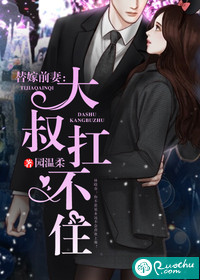 激情软件
