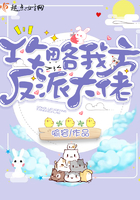 数码宝贝大冒险攻略