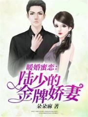 我的美母校长妈读目录