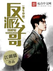空姐的诱惑