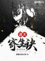 中韩砖码砖专区2024