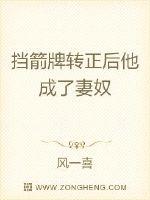 危险关系张柏芝