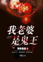 黑白禁区演员表