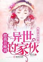 老司机导航