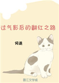 宋智爱