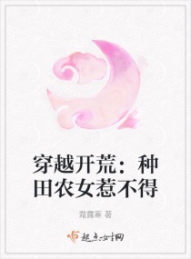 金晶小说