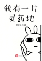扫黑风暴22集
