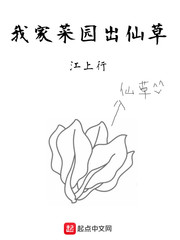 泽艺新城