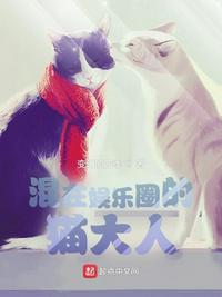 cijilu在线视频野马