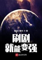 模拟飞行10