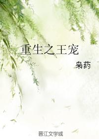 我妻子的姐姐中文字幕720p