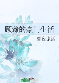 忘羡天天图
