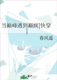 灵能百分百腐视频