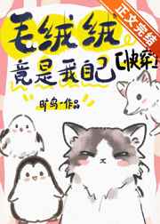 沉芙