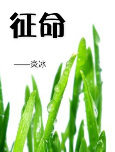 山村医生吴能