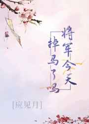 婚过来婚过去小说