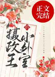 511视频在线观看播放器