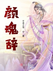 黑夜游侠